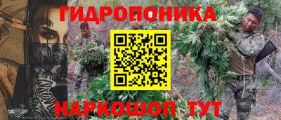 сатива Новодвинск