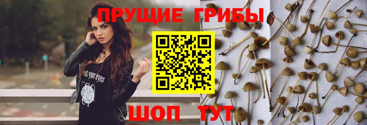 Тобольск  Галлюциногенные грибы MAGIC MUSHROOMS  Вход с VPN 